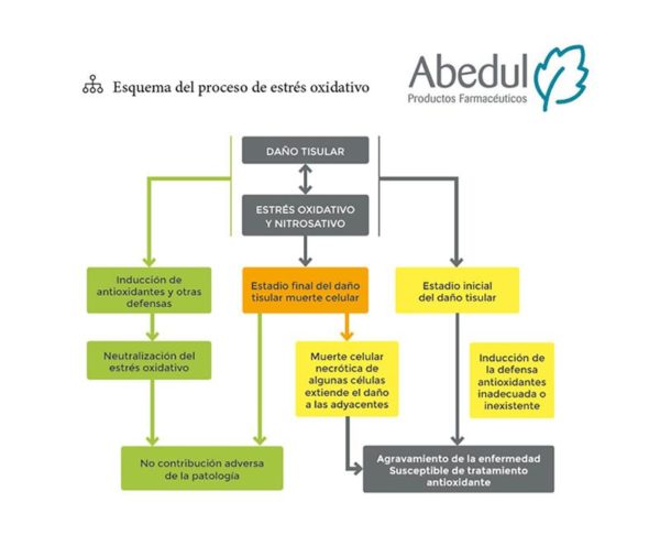 Tratamiento del vitíligo: el papel de la superóxido dismutasa